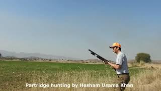 Partridge hunting in Pakistan