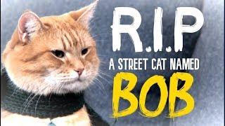 R.I.P A Street Cat Named Bob - TRIBUTE Satellite Moments