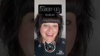 Vocabulary Scaredy-cat