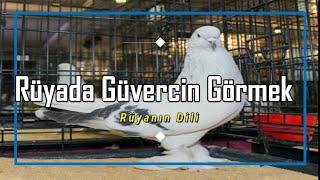 RÜYADA GÜVERCİN GÖRMEK rüya tabiri