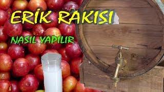 Erik Rakısı Yapımı  Erik Boğması