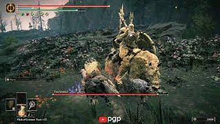 Elden Ring DLC - Hinterland Tree Sentinel Side Boss Fight #2