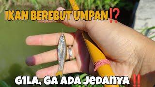 MANCING WADER PARI 2023  Trick Mancing Wader Babon