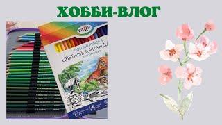 Хобби-влог 13 покупки  новые карандаши  карандаши гамма  карандаши berlingo