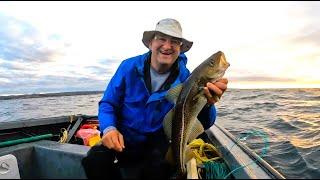 SHARKS Red Fish Wolffish Newfoundland Cod Fishing Episode # 97