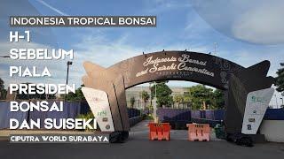 Satu hari sebelum piala presiden bonsai dan suiseki di ciputra world mall surabaya