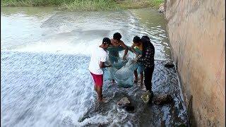 Best cast net fish‌ing Cambodia - cast net under the bridge #cast net 89