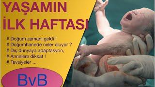 First Week of Life Pregnancy Postpartum Newborn Baby Care...