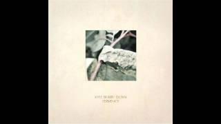 Kyle Bobby Dunn - Baltic Sea Kisses Viul Winter remix