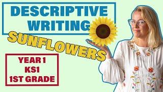 Descriptive Writing SUNFLOWERS  Year 1 KS1 1st Grade Writing