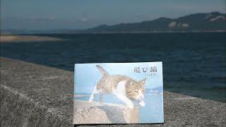 【特集】この先も瀬戸内海と⑲　「飛び猫」写真家・五十嵐さんといく佐柳島