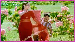 ANR Jayaprada Evergreen Superhit Song  Tandava Krishnudu Movie Video Songs  Telugu Movie Songs