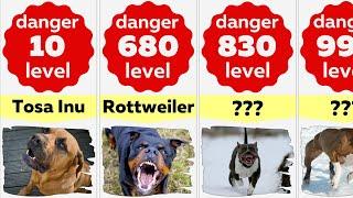 Comparison Most Dangerous Dog Breeds For Humans In The World