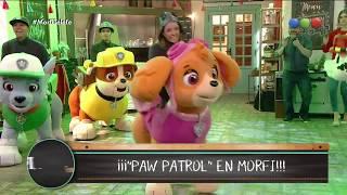 ¡Show de Paw Patrol en vivo - Morfi