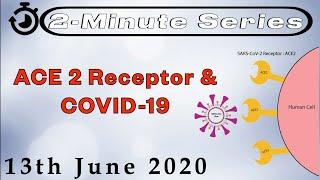 2 Minute Series ACE2 Receptors & COVID 19