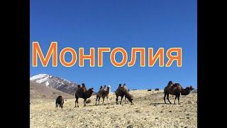 В Монголию на машине через Горный Алтай. #монголия#автопутешествие