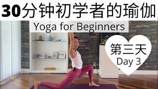 【30分钟初学者的瑜伽课程 Day 3 】零基础瑜伽入门系列课程  Yoga for Beginners Series #3