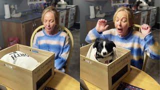 MOST EMOTIONAL PUPPY SURPRISE COMPILATION Tears of Joy.