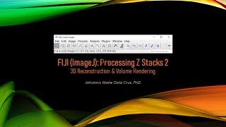 Processing z Stacks 2 3D Reconstruction & Volume Rendering FIJI ImageJ