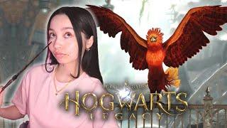 Capturing my Phoenix 🪞 - Phoenix Rising Quest - Hogwarts Legacy