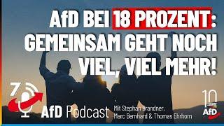 AfD bei 18 Prozent Gemeinsam geht noch viel viel mehr  7 Tage Deutschland – Ausgabe 182023