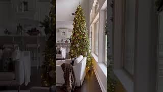 Whoa Did this Christmas Tree make your jaw drop too? - King of Christmas #shorts