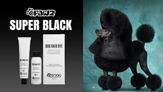 OPAWZ Super Black Pet Hair Dye For A True Black Creative Grooming Design