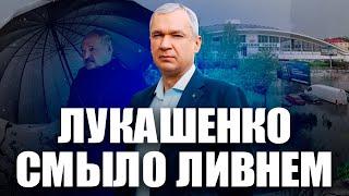 Лукашенко завалило деревьями