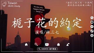 30首超好聽的流行歌曲  2024年 8月份爆火全網的歌曲【動態歌詞Pinyin Lyrics】林三七 - 梔子花的約定 王宇宙Leto喬浚丞 - 若月亮沒來 Simyee陳芯怡 - 青花瓷