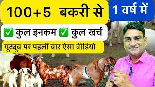 100 बकरी  भेड़ का पूरा गणित  12 महीने में लाभ या हानि  100 Goat One Year Maths Nisar Indian NLM