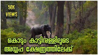 Konni Achankovil Forest Ride  Kerala Tamilnadu  Road  Pathanamthitta Tourist Places  Achankovil