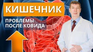 Проблемы с кишечником после ковида почему начались и что делать?