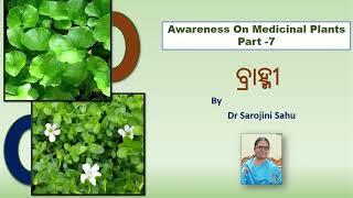 Awareness on Medicinal Plants Part-7 Brahmi Odia By Dr Sarojini Sahu