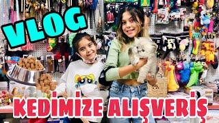 YENİ KEDİMİZ İÇİN PET SHOP ALIŞVERİŞİ YAPTIK  Alışveriş Vlog