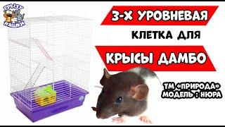 ТРЕХУРОВНЕВАЯ КЛЕТКА ДЛЯ КРЫСЫ ДАМБО ТМ ПРИРОДА НЮРА  ОБЗОР КЛЕТКИ  РАЗМЕРЫ КЛЕТКИ ДЛЯ КРЫСЫ