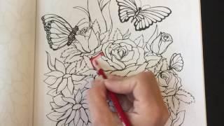 Coloring book tips and techniques using colored pencils