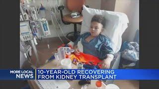Au Gres boy gets new kidney from stranger found through Facebook group