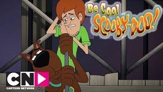 Sakin Ol Scooby Doo I Fred Zamanı I Cartoon Network Türkiye