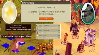 DOFUS RETRO TEMPORIS III #7  DE NOUVEAUX DOFUS 