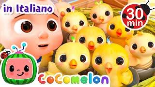 Quanti pulcini?  CoComelon Italiano - Canzoni per Bambini