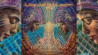 Liquid Bloom - The Face of Love A Guided Spirit Journey Full Album