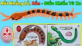 Rết Khổng Lồ Rắn Hổ Mang Điều Khiển Từ Xa - Mô Hình Chuyển Động Như Thật  Mở Hộp Mua Hàng Online