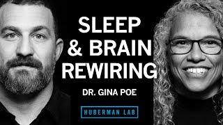 Dr. Gina Poe Use Sleep to Enhance Learning Memory & Emotional State  Huberman Lab Podcast