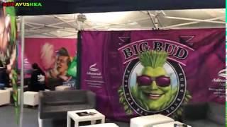 Выставка Конопли Марихуаны в Испании - ExpoGrow2019