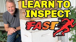 Beekeeping How To Learn To Inspect Your Hive Fast