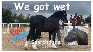 1 horse 1 venue 1 day and 2 shows  Equifest 2023 and Search for a star