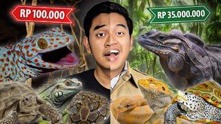 REPTIL MURAH RP 100.000 VS REPTIL MAHAL RP 35.000.000