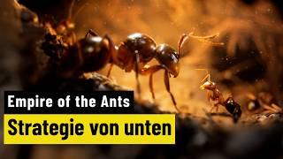 Empire of the Ants Starcraft mit Ameisen? So spielt es sich wirklich