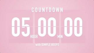 5 Hours Countdown Flip Clock Timer  Simple Beeps 