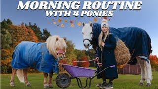 AUTUMN FALL MORNING ROUTINE WITH 4 PONIES